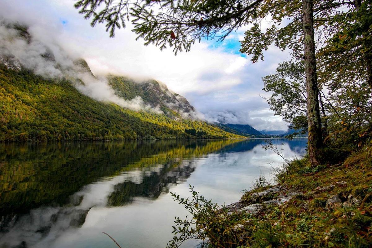 Apartmaji Pri Kozmavo - Little House Bohinj Eksteriør billede